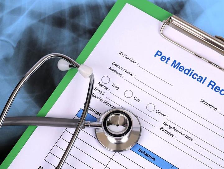 Pet Portal Hillsborough County Veterinary Hospital